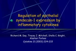 Regulation of epithelial syndecan-1 expression by inflammatory cytokines