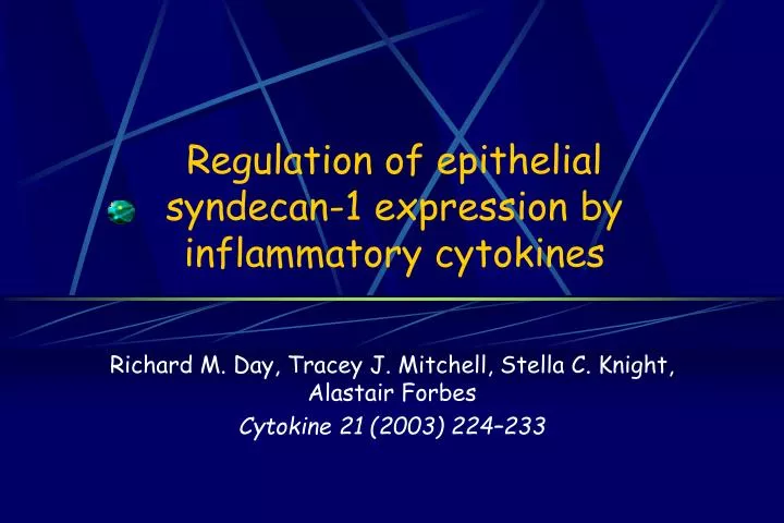 regulation of epithelial syndecan 1 expression by inflammatory cytokines