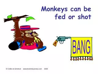 Monkeys can be fed or shot