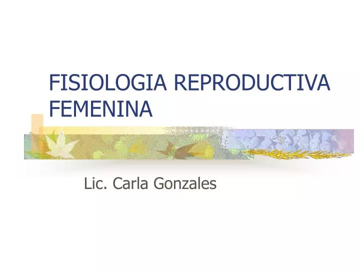 fisiologia reproductiva femenina