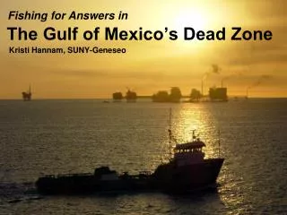 The Gulf of Mexico’s Dead Zone