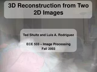 3D Reconstruction from Two 2D Images