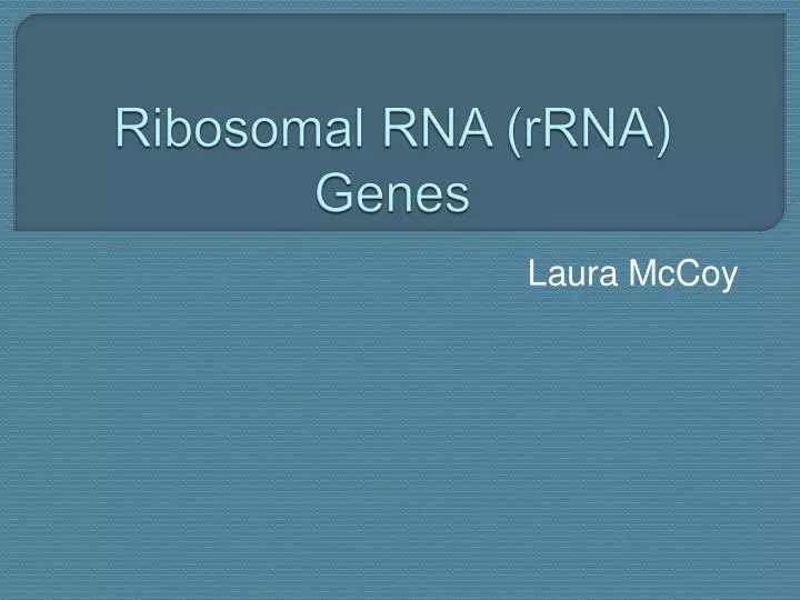 ribosomal rna rrna genes