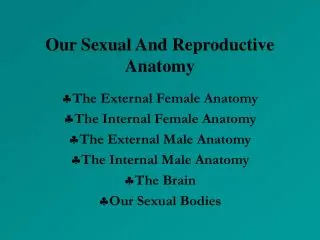 Our Sexual And Reproductive Anatomy