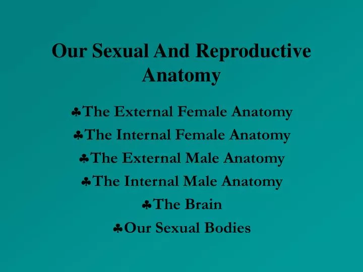 our sexual and reproductive anatomy