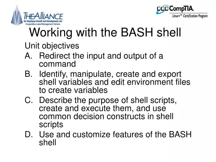 working with the bash shell
