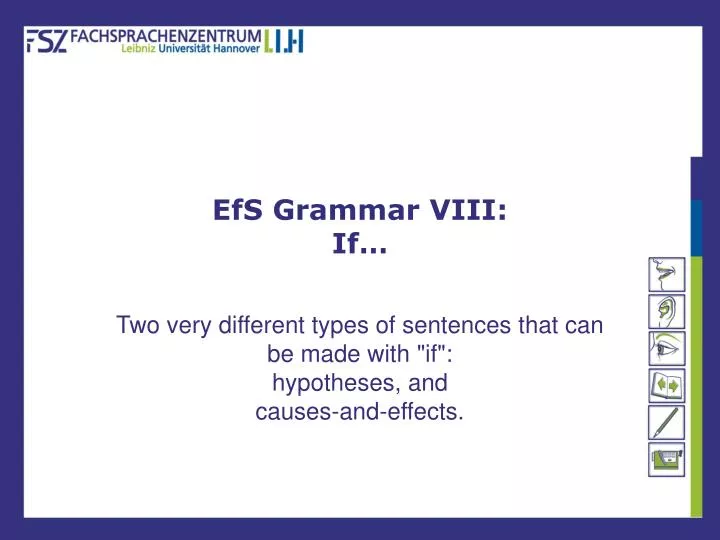 efs grammar viii if