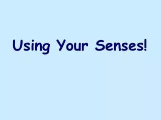 Using Your Senses!