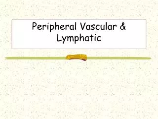 Peripheral Vascular &amp; Lymphatic