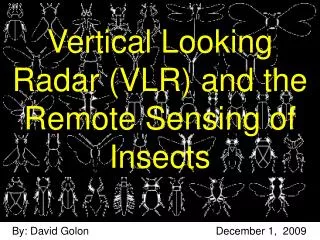 Vertical Looking Radar (VLR) and the Remote Sensing of Insects