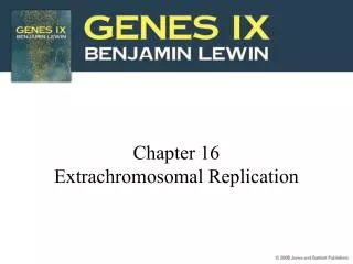 Chapter 16 Extrachromosomal Replication