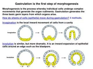 Gastrulation is the first step of morphogenesis