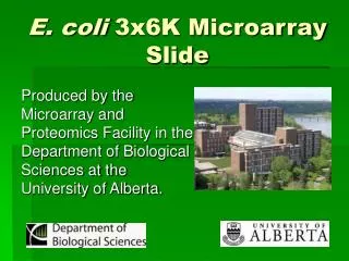 E. coli 3x6K Microarray Slide