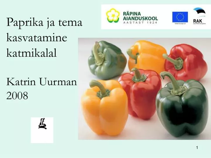 paprika ja tema kasvatamine katmikalal katrin uurman 2008