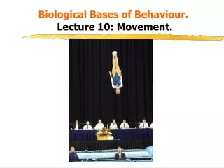 Biological Bases of Behaviour. Lecture 10: Movement.