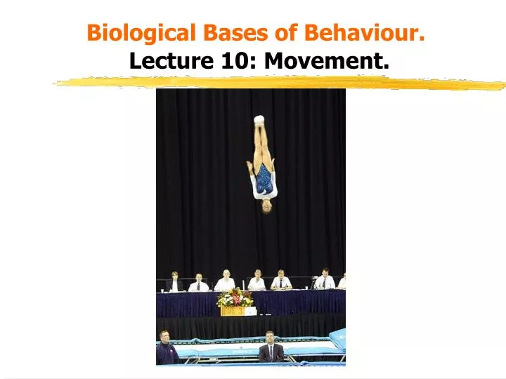 biological bases of behaviour lecture 10 movement