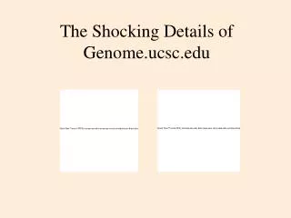 The Shocking Details of Genome.ucsc.edu