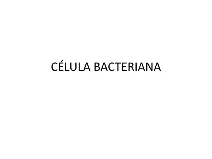 c lula bacteriana