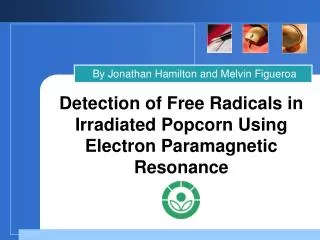 Detection of Free Radicals in Irradiated Popcorn Using Electron Paramagnetic Resonance