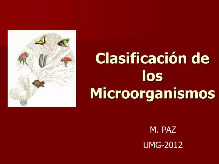 clasificaci n de los microorganismos