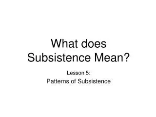 What does Subsistence Mean?