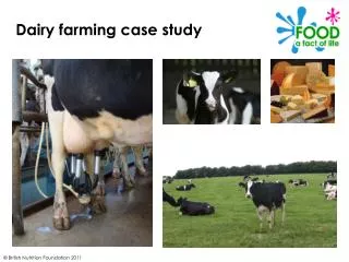Dairy farming case study