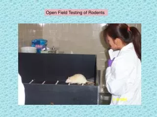 Open Field Testing of Rodents