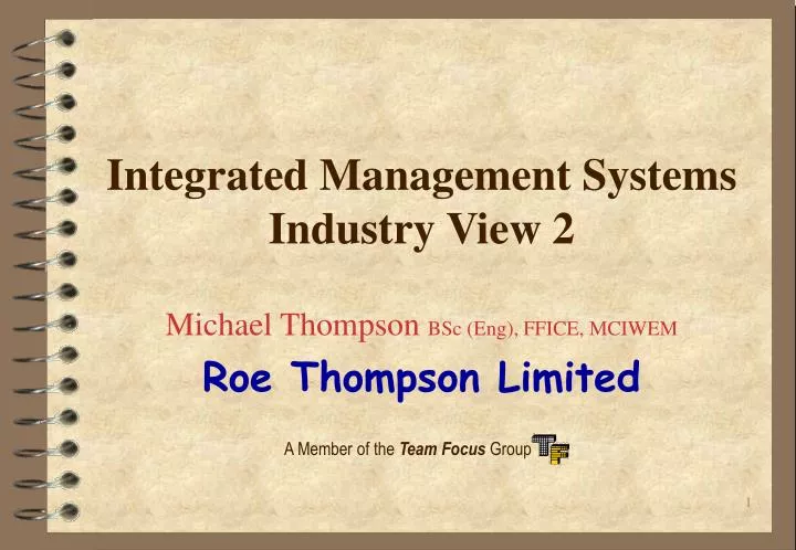 integrated management systems industry view 2
