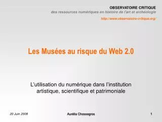 Les Musées au risque du Web 2.0