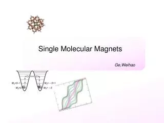 Single Molecular Magnets