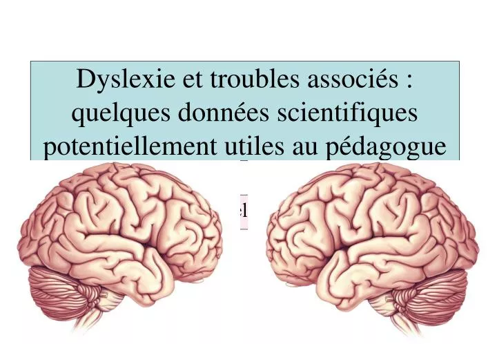 dyslexie et troubles associ s quelques donn es scientifiques potentiellement utiles au p dagogue