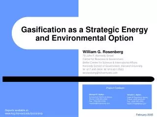 Gasification as a Strategic Energy and Environmental Option