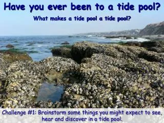 Have you ever been to a tide pool? What makes a tide pool a tide pool?