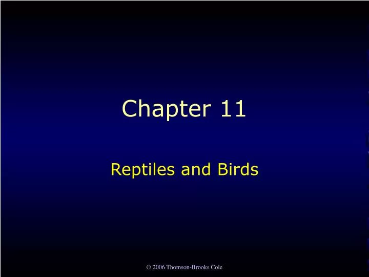 reptiles and birds