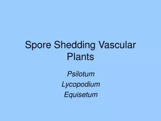 Spore Shedding Vascular Plants