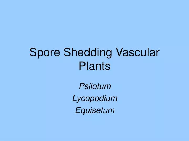 spore shedding vascular plants