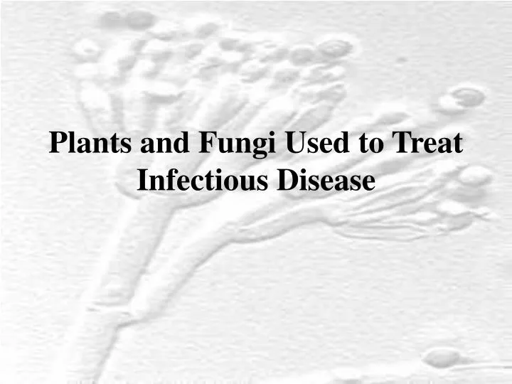 plants and fungi used to treat infectious disease