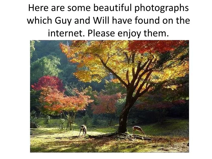 pictures of autumn