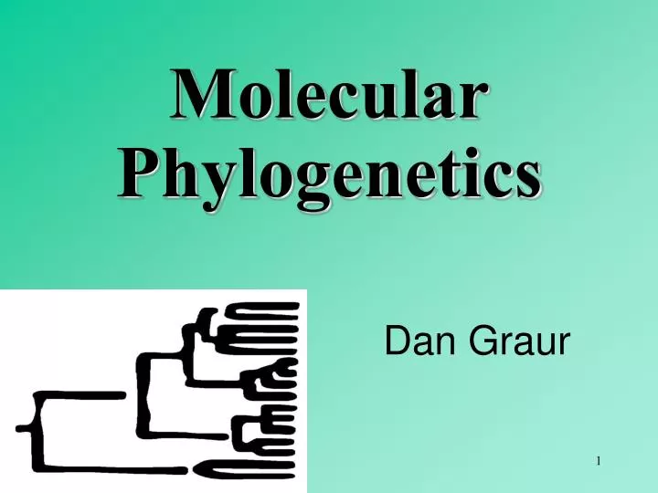 molecular phylogenetics