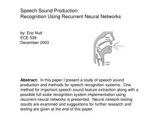 Speech Sound Production: Recognition Using Recurrent Neural Networks