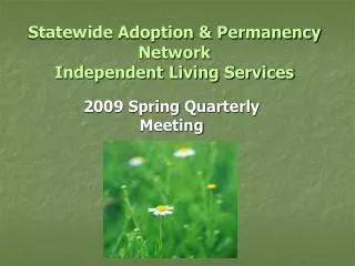 Statewide Adoption &amp; Permanency Network Independent Living Services