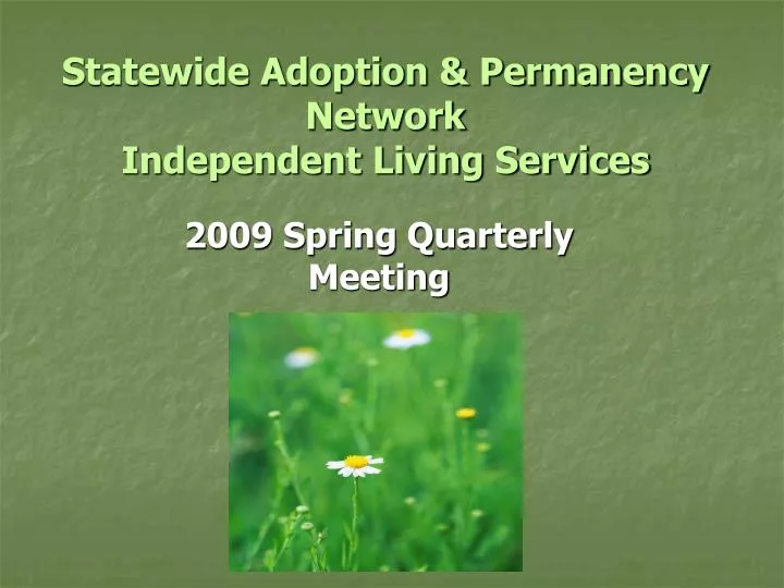 statewide adoption permanency network independent living services