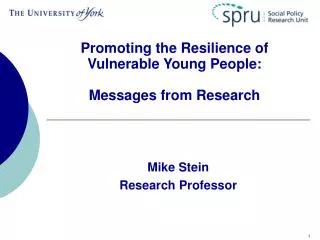 Promoting the Resilience of Vulnerable Young People: Messages from Research