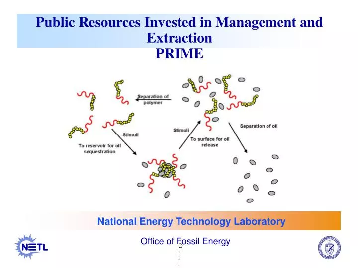 public resources invested in management and extraction prime