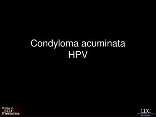 Condyloma acuminata HPV