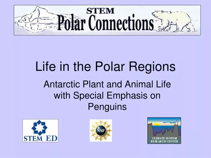 life in the polar regions