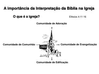 A importância da Interpretação da Bíblia na Igreja