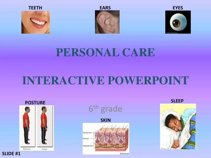 personal care interactive powerpoint