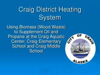 Craig District Heating System