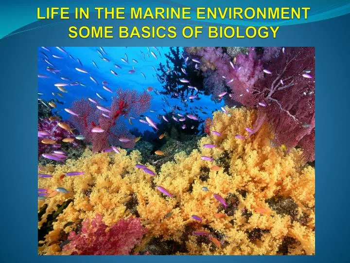 life in the marine environment some basics of biology